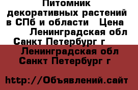 Питомник декоративных растений в СПб и области › Цена ­ 200 - Ленинградская обл., Санкт-Петербург г.  »    . Ленинградская обл.,Санкт-Петербург г.